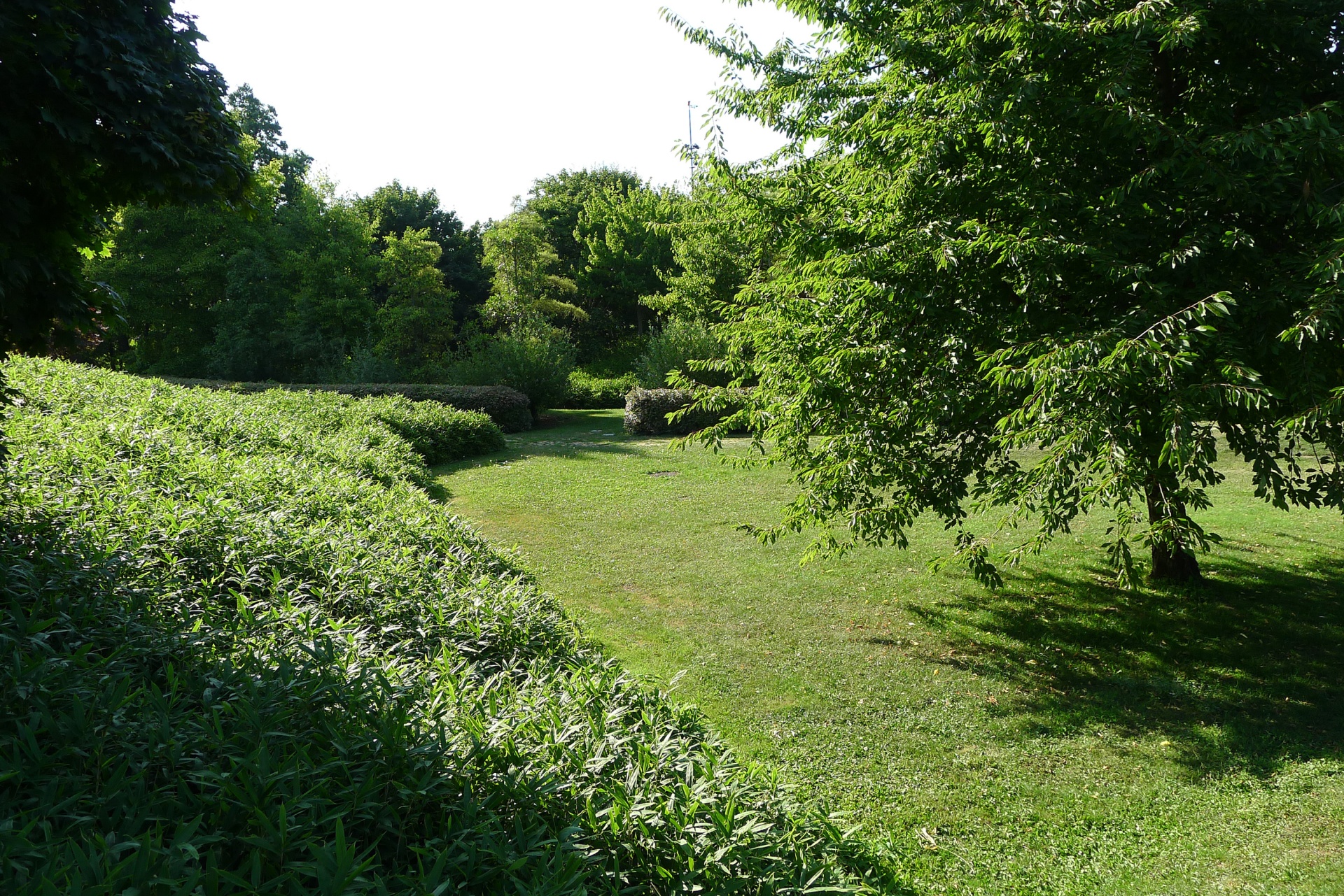 PARC DU PLATEAU