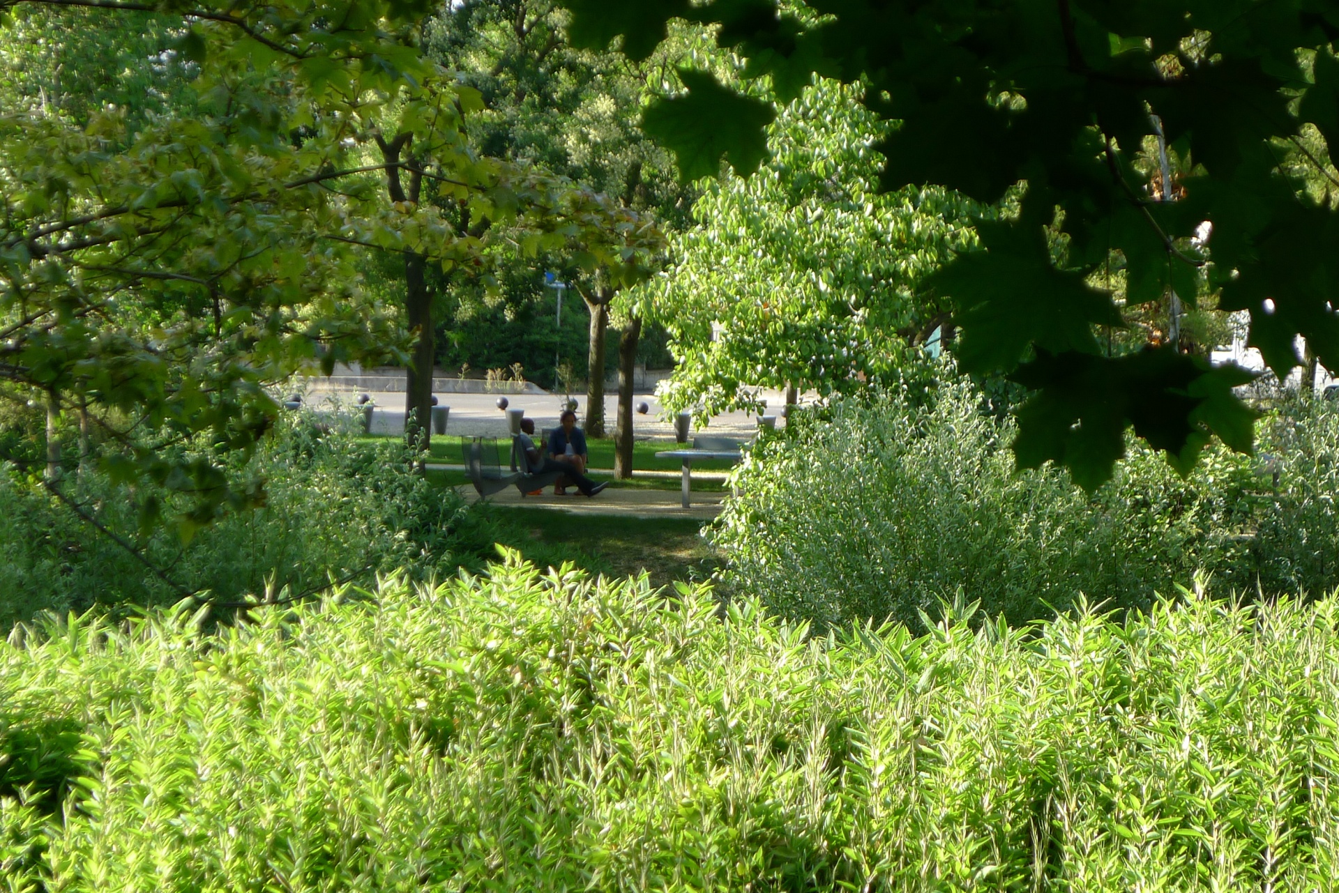 PARC DU PLATEAU