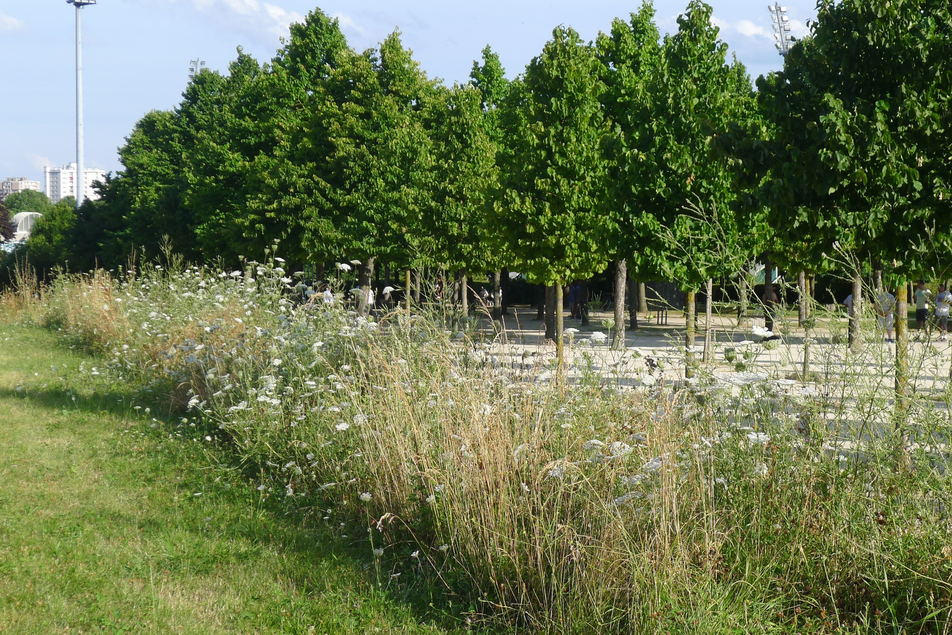 PARC DES HAUTES BRUYÈRES